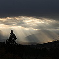 SkyLight thru Darkness